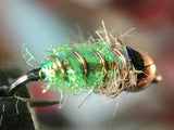 Livin' Free Caddis Larva 🐛 Icy Green [Pack of 6]